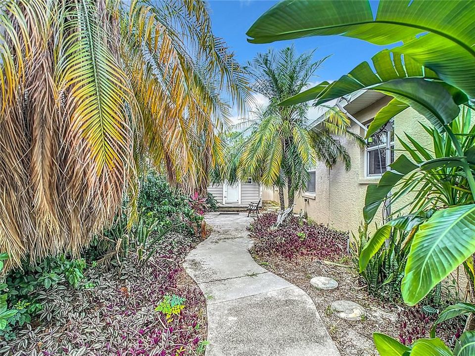 Side yard Jungle Oasis.