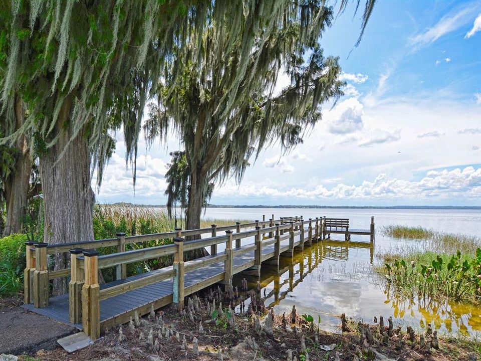 Royal Harbor Community Dock on Little Lake Harris.