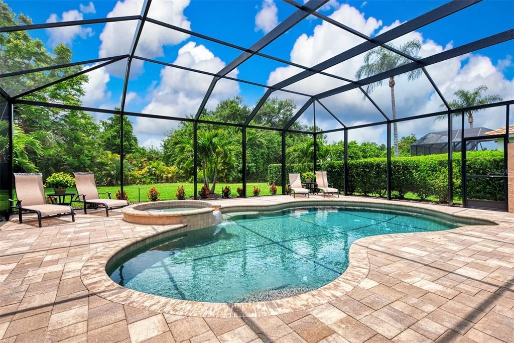 Saltwater pool and spa with a very private backyard looking at never-to-be-developed preserve