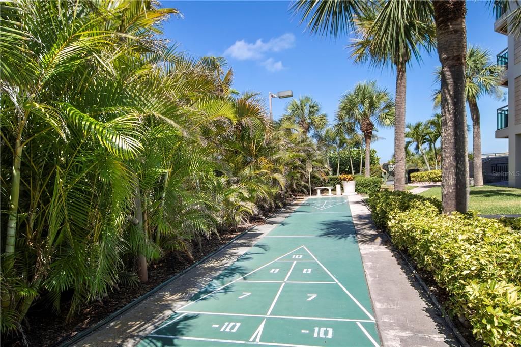 Shuffleboard