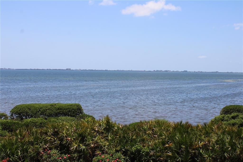 Spectacular Sarasota Bay views