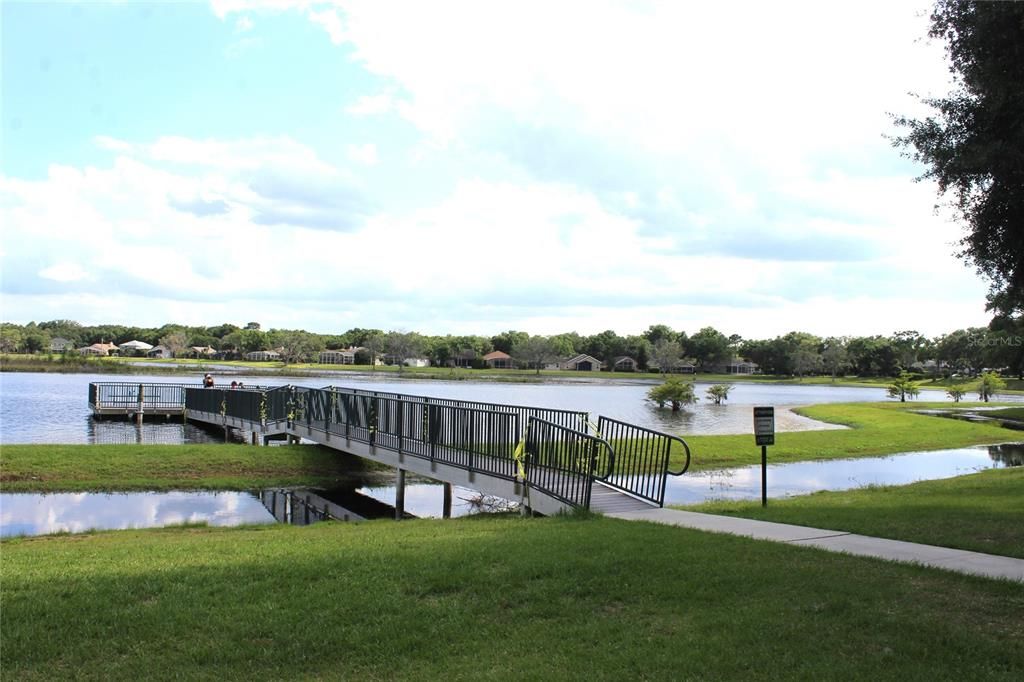 Sawyer Lake & Pier