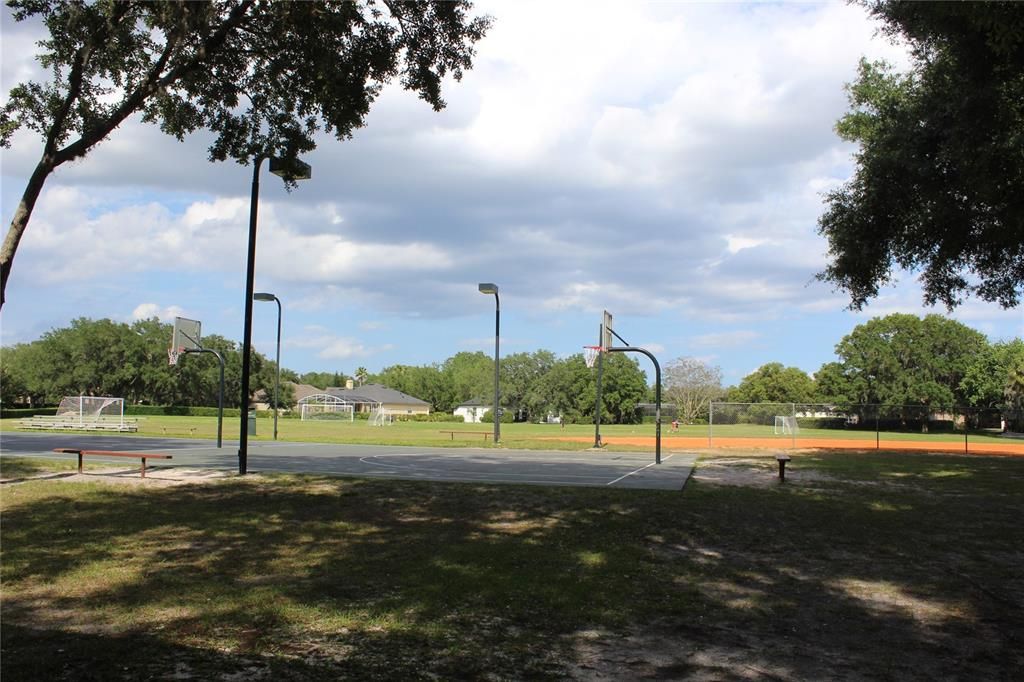 Ball Field & Courts at Sawyer Lake Park