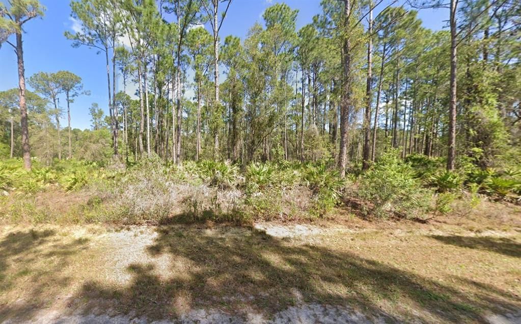 For Sale: $12,000 (0.23 acres)