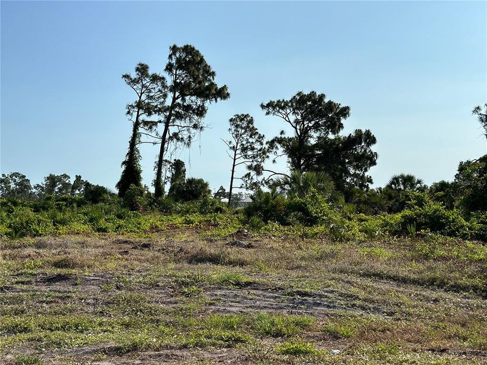 En Venta: $194,900 (0.44 acres)