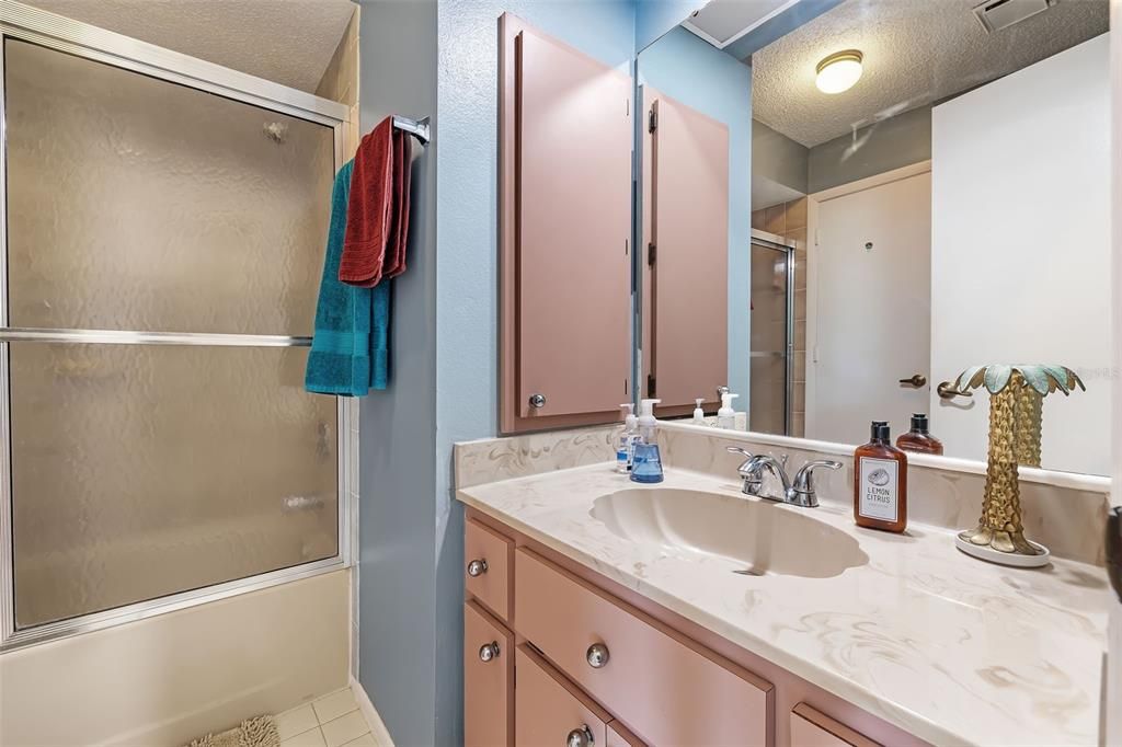 Guest bathroom shower / tub combo