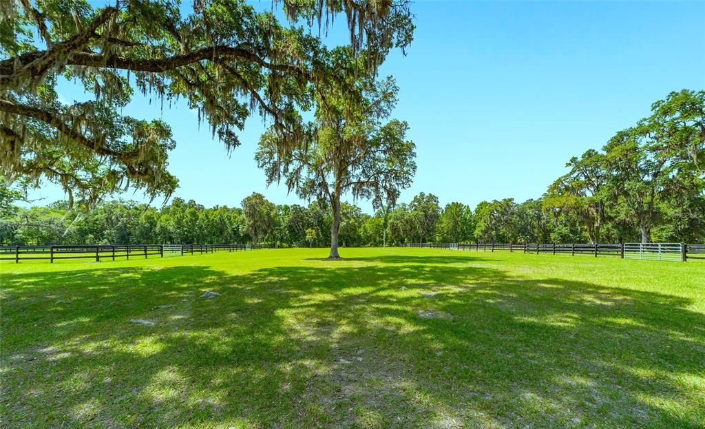 back field area with paddocks