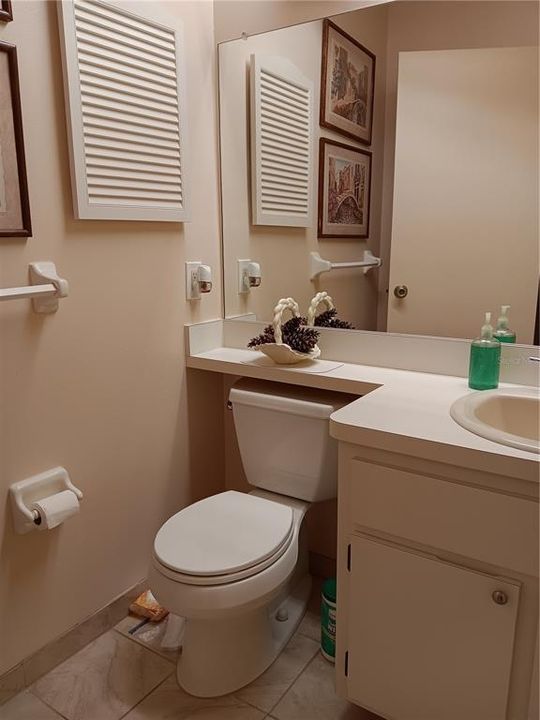 Guest/Second bathroom