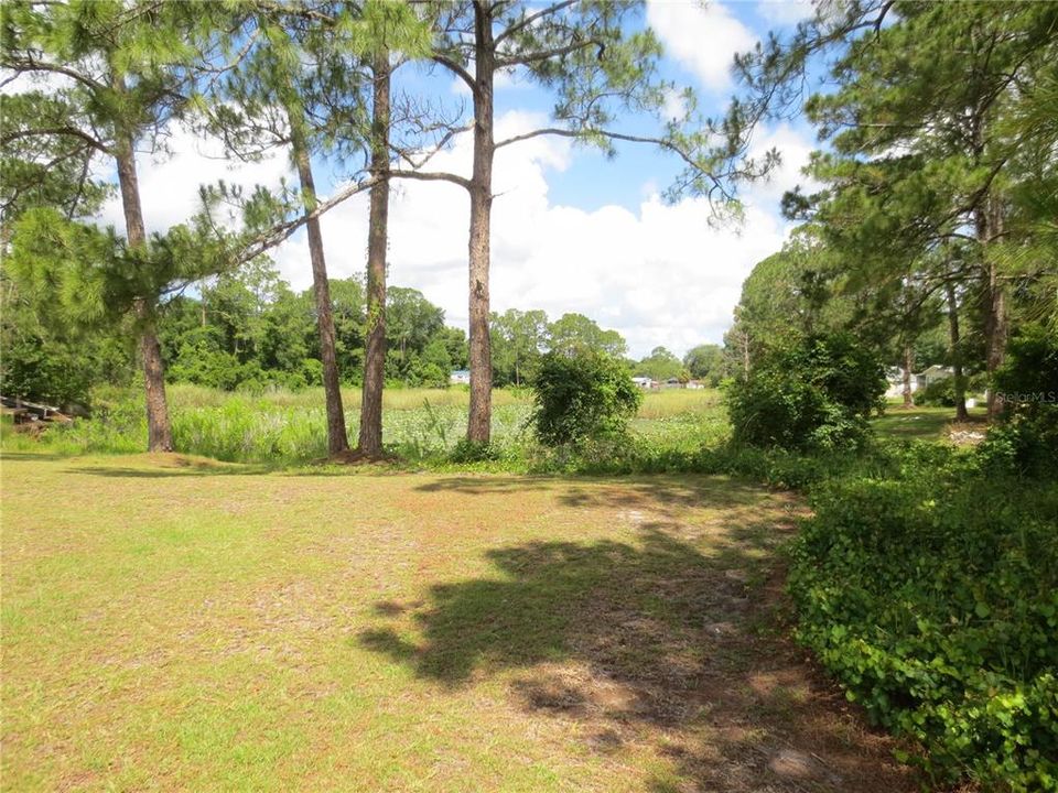 Fronts on Wilderness Pond