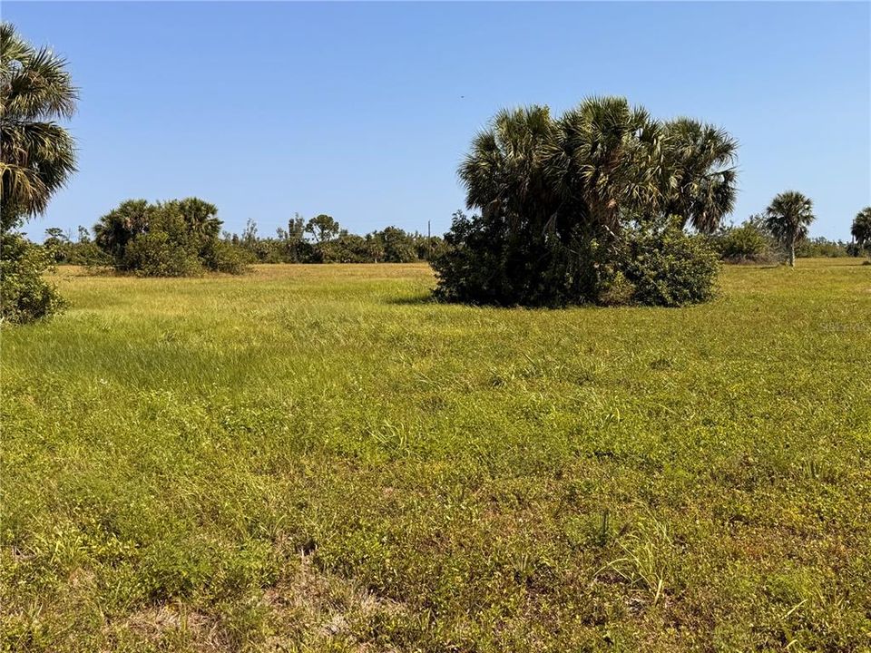 For Sale: $25,000 (0.21 acres)