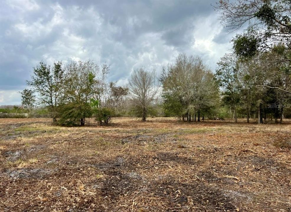For Sale: $160,000 (1.32 acres)