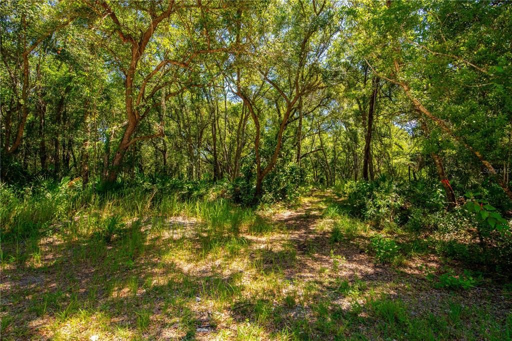 На продажу: $35,000 (1.15 acres)