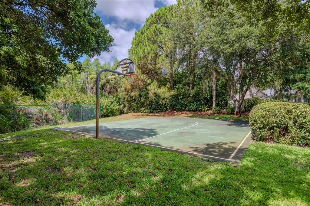 Neighborhood basketball court