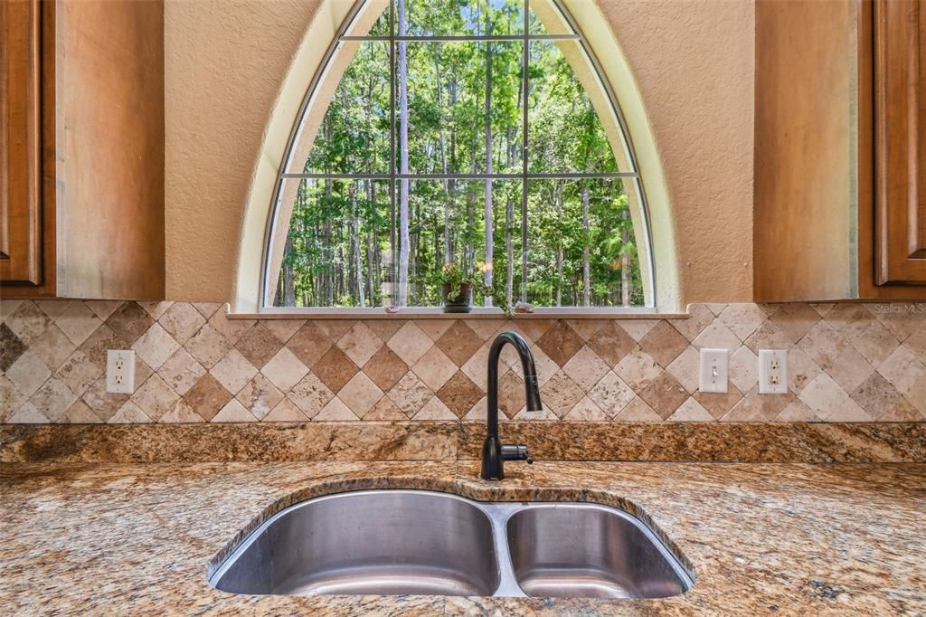 Unique window in kitchen to admire the conservation!