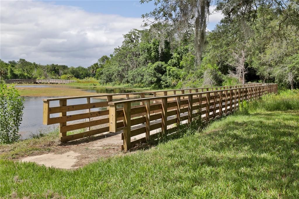 Walk way at the pond