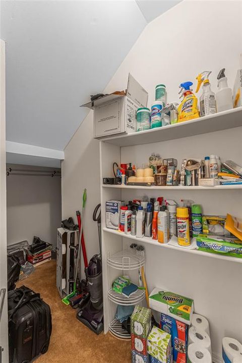 Great storage closet under the stairs