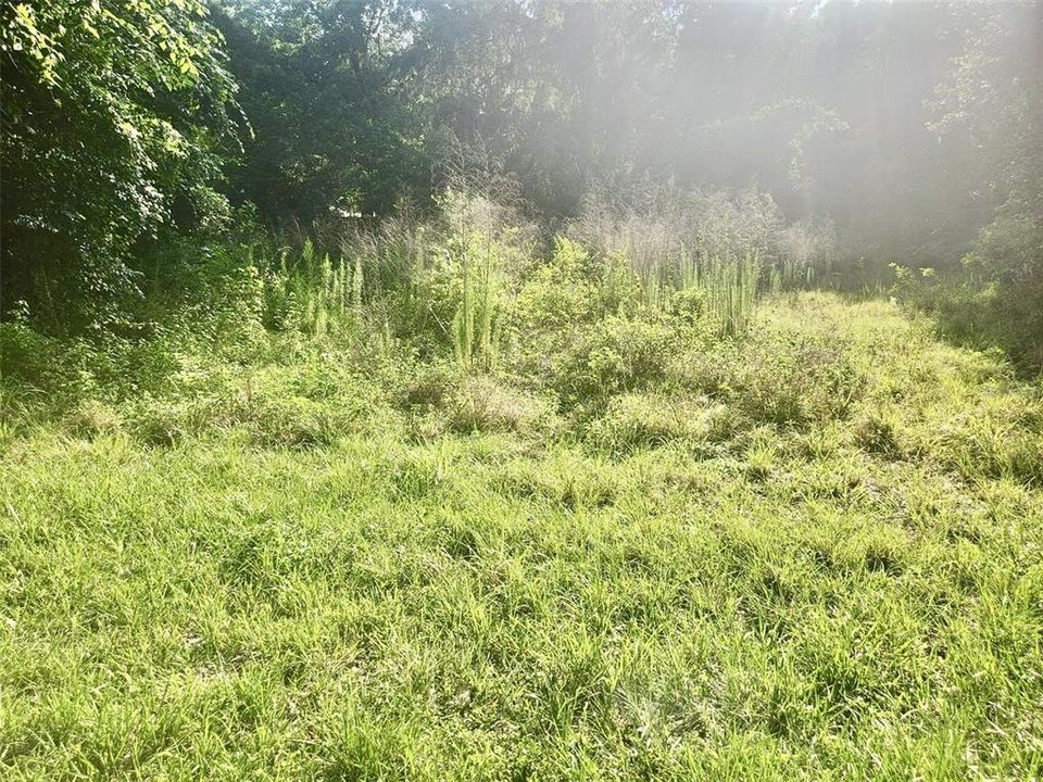 For Sale: $29,900 (0.34 acres)