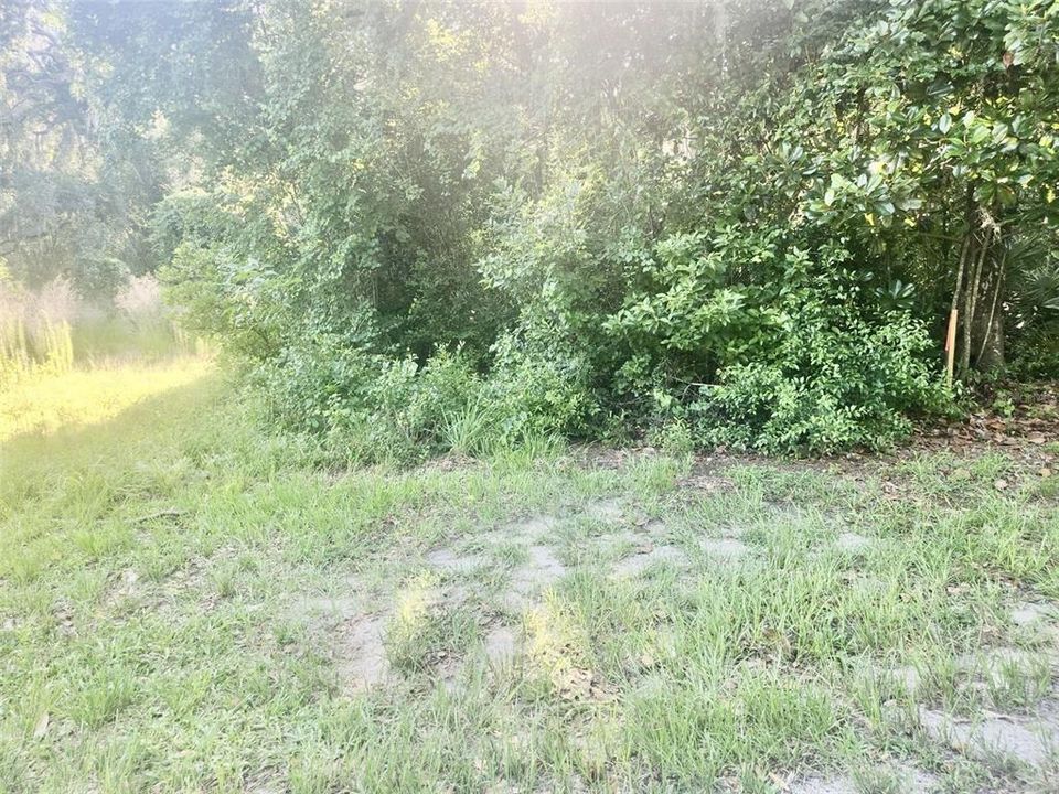 For Sale: $29,900 (0.34 acres)