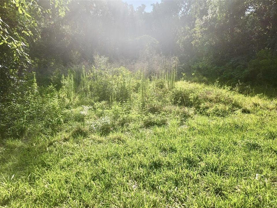 For Sale: $29,900 (0.34 acres)