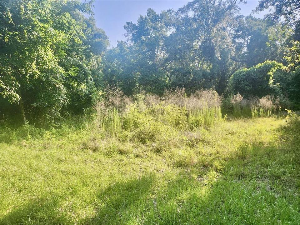 For Sale: $29,900 (0.34 acres)