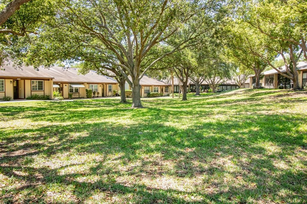 Community Green Space with shade trees