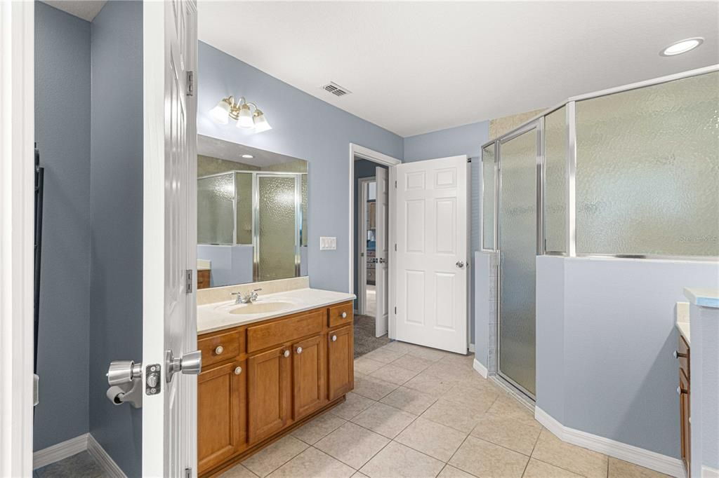 Primary bathroom with step in shower