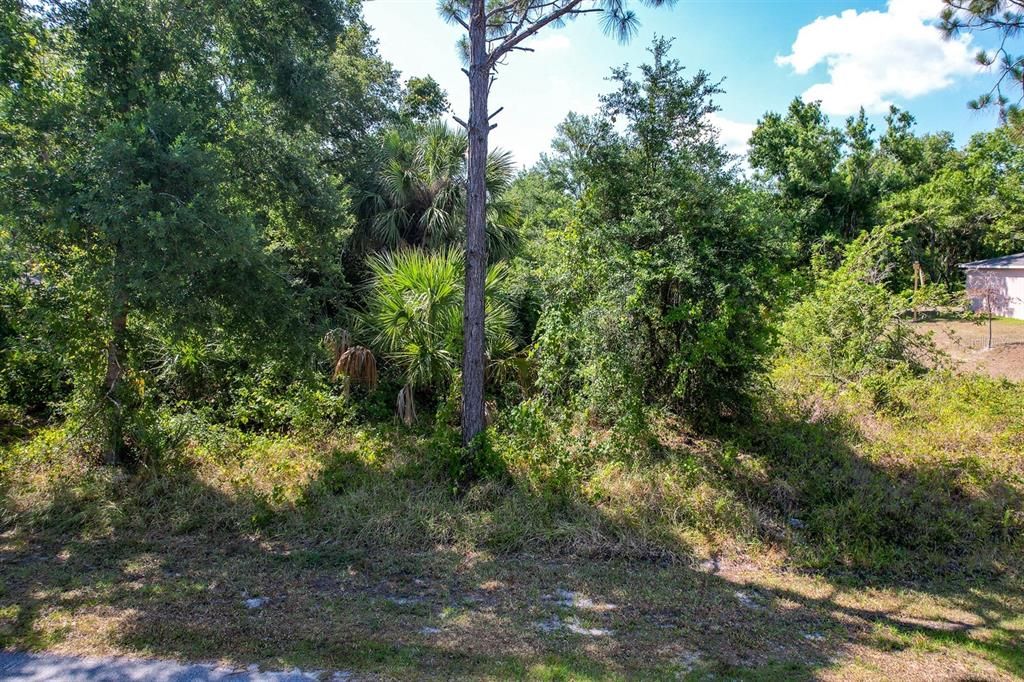 Active With Contract: $12,900 (0.23 acres)