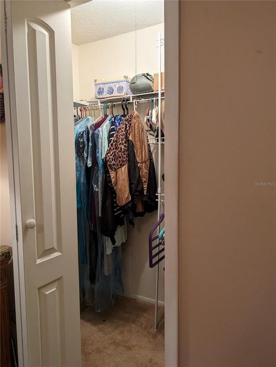 Carpeted closet has organizing racks.