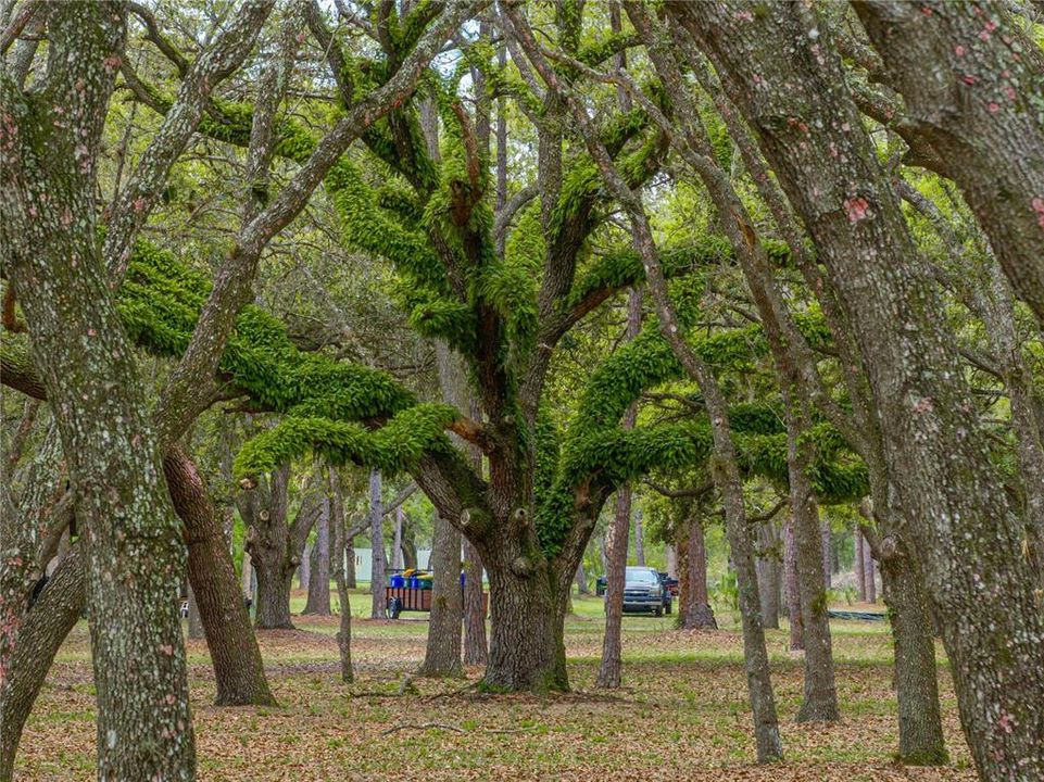 На продажу: $3,500,000 (120.00 acres)