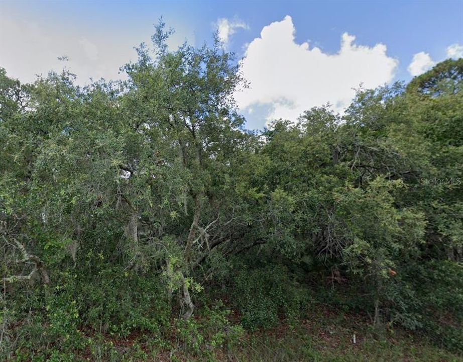For Sale: $59,950 (0.19 acres)