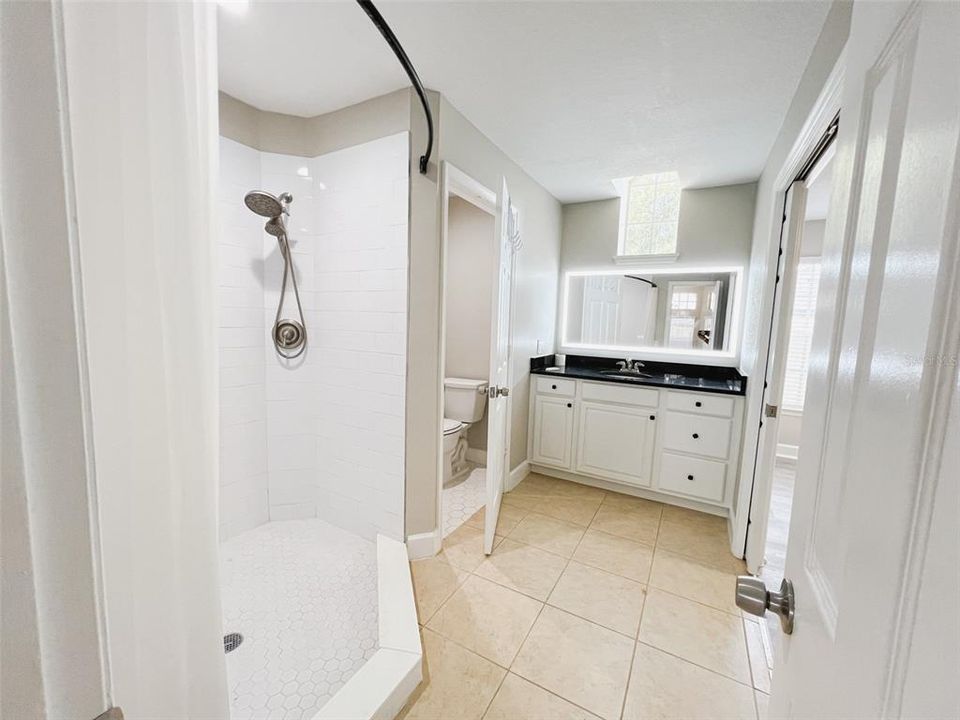 downstairs bathroom, beautiful bright mirror and a large shower - amazing water pressure