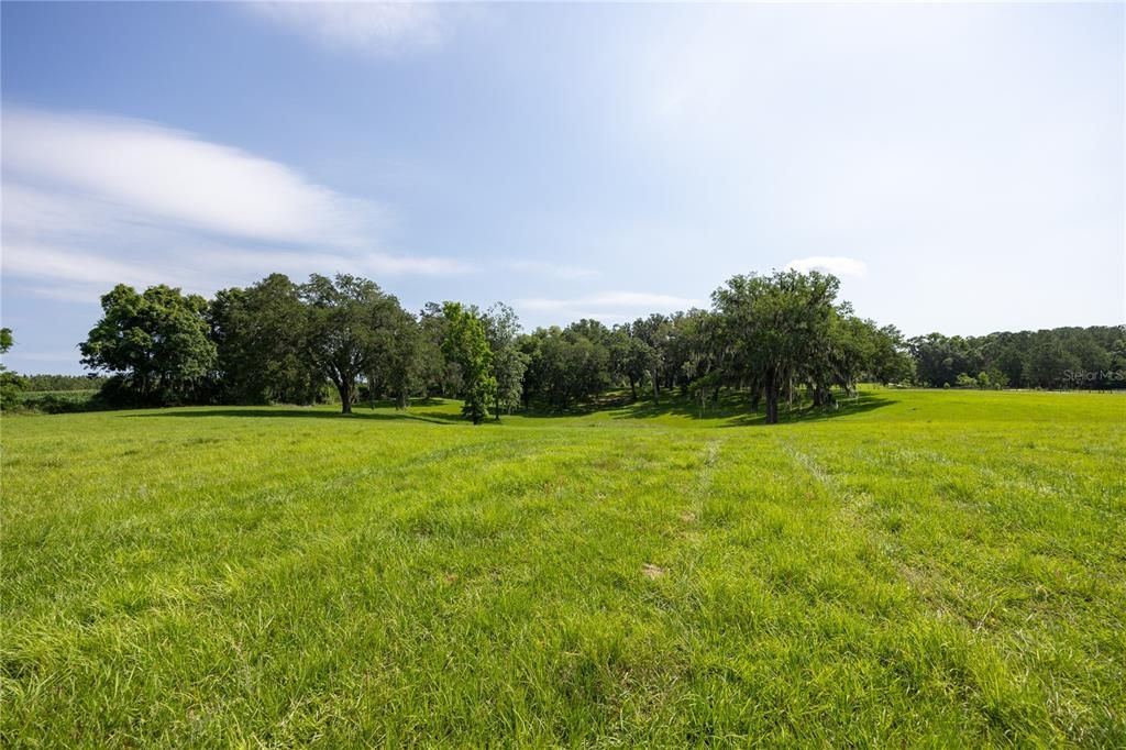 For Sale: $575,000 (13.73 acres)