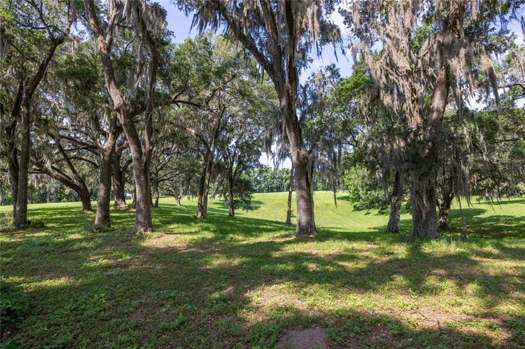 For Sale: $575,000 (13.73 acres)