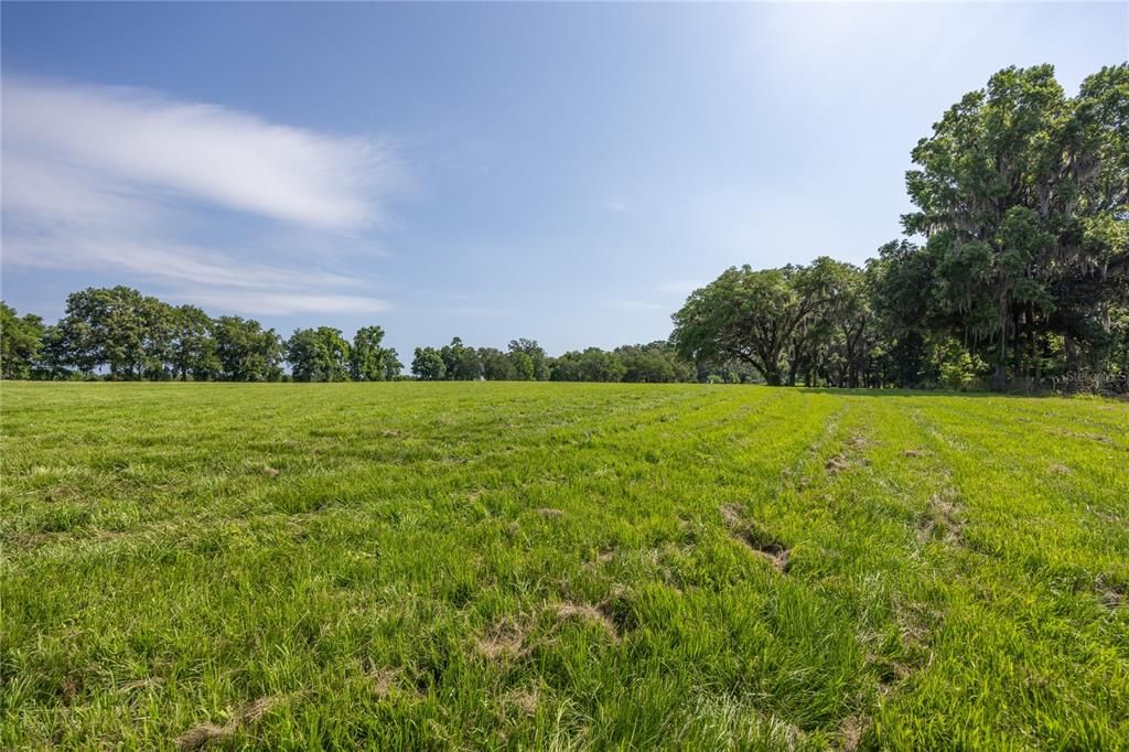 For Sale: $575,000 (13.73 acres)