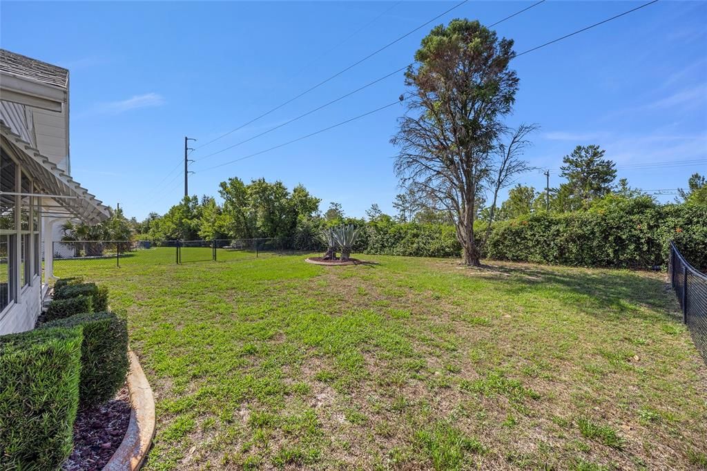 Back yard from house