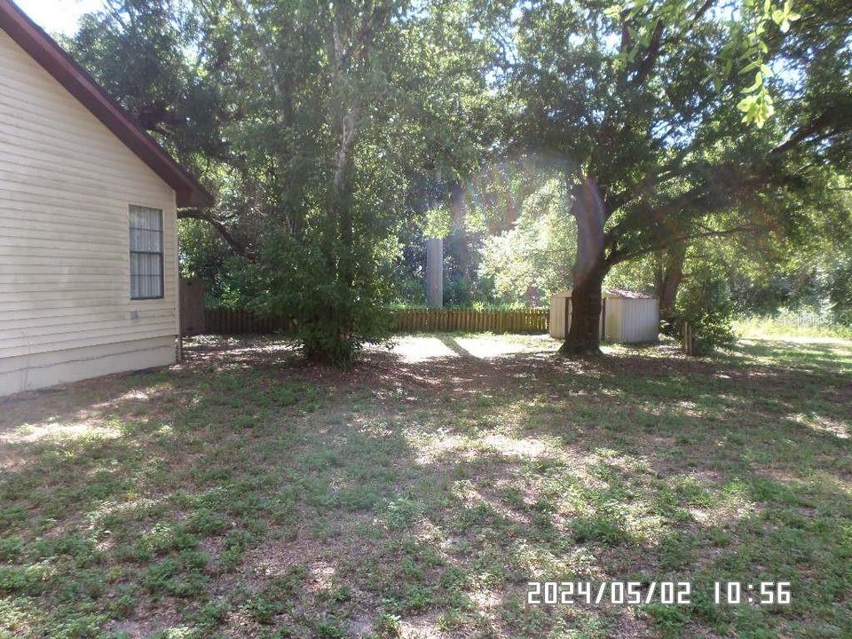 Shed/ side yard