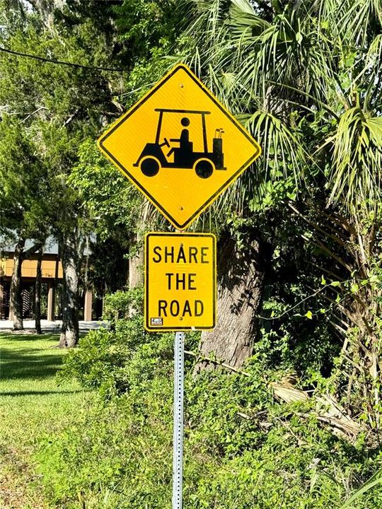 Old Homosassa is a golf cart friendly community