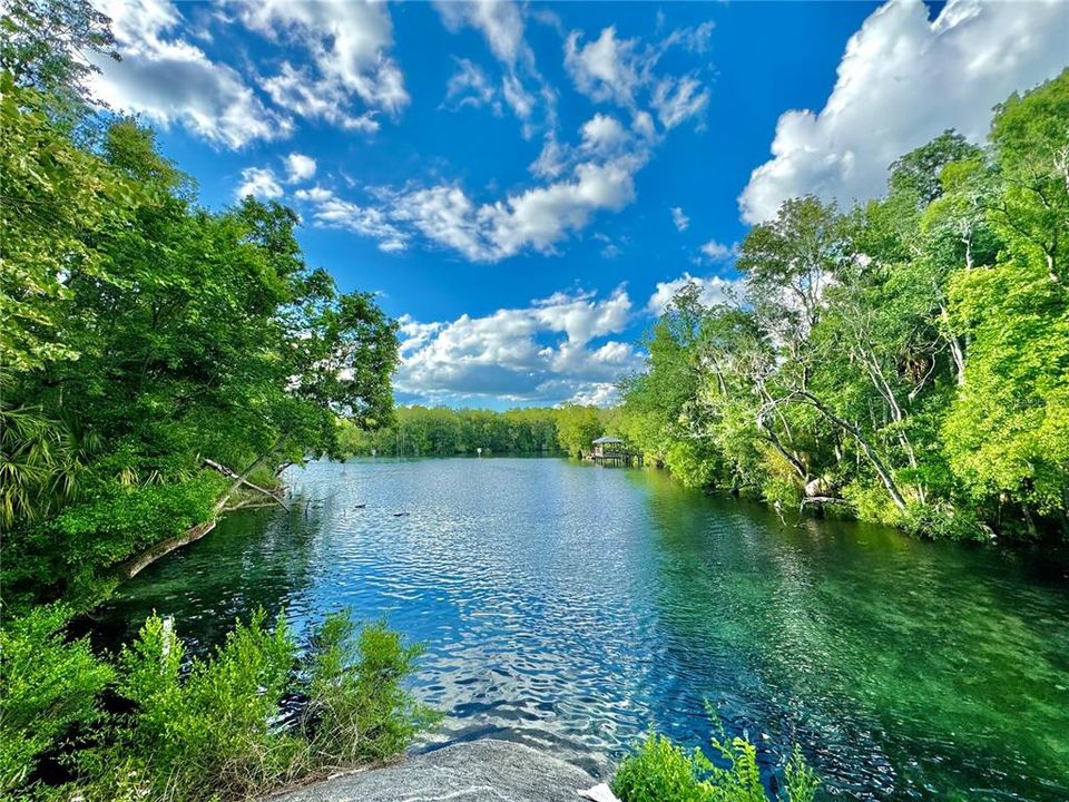 Homosassa Springs