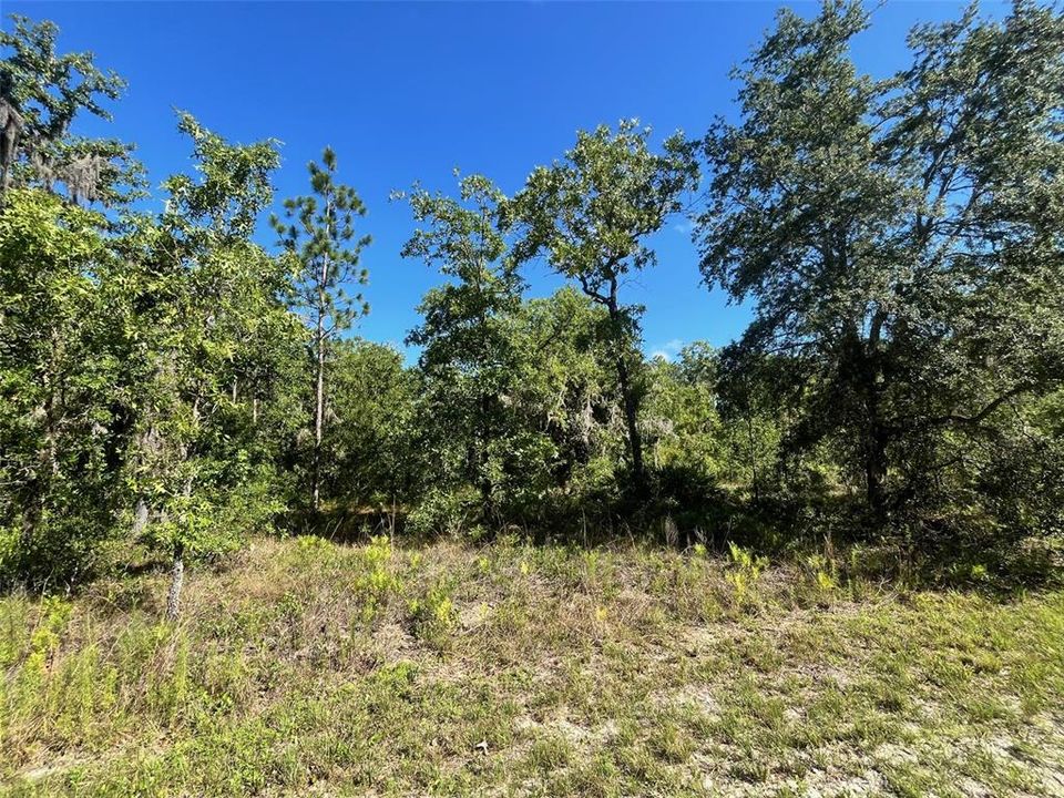 Recently Sold: $29,900 (0.56 acres)