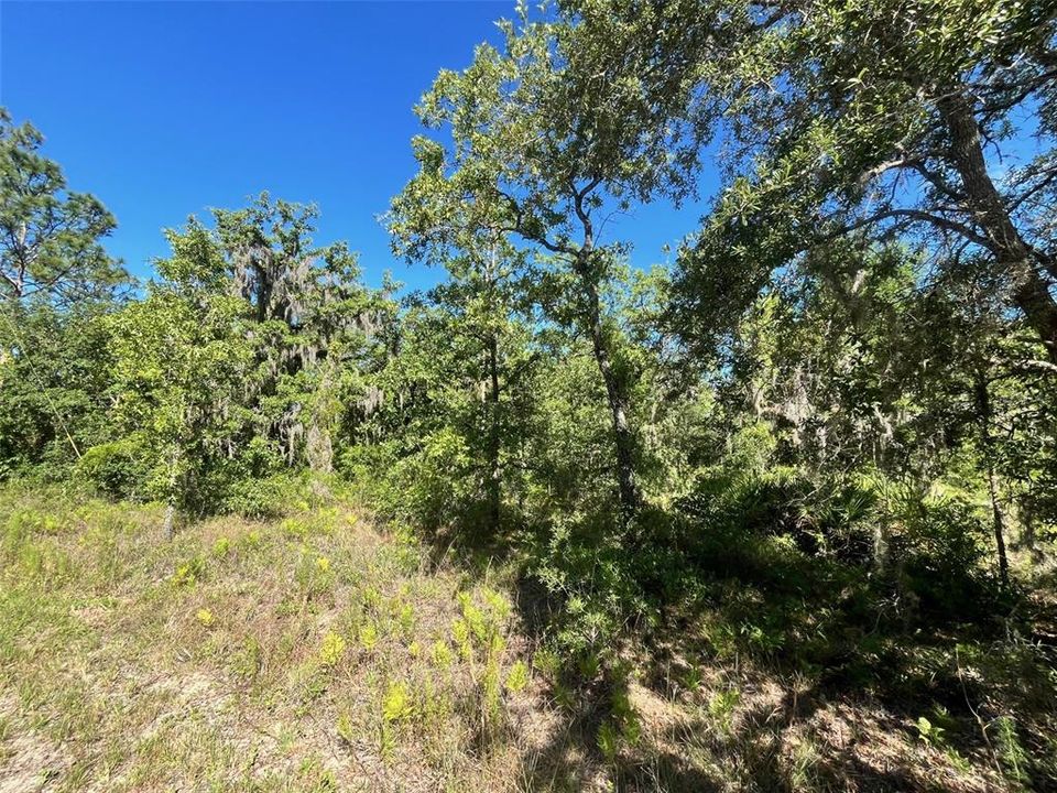 En Venta: $34,900 (0.56 acres)