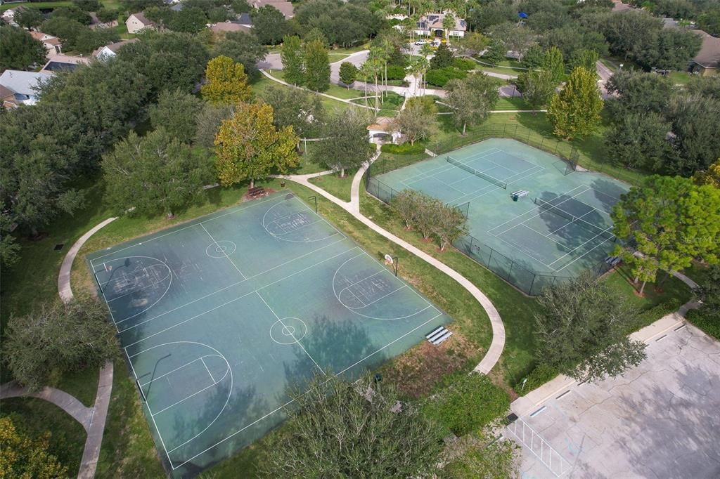 Panther Trace ball courts
