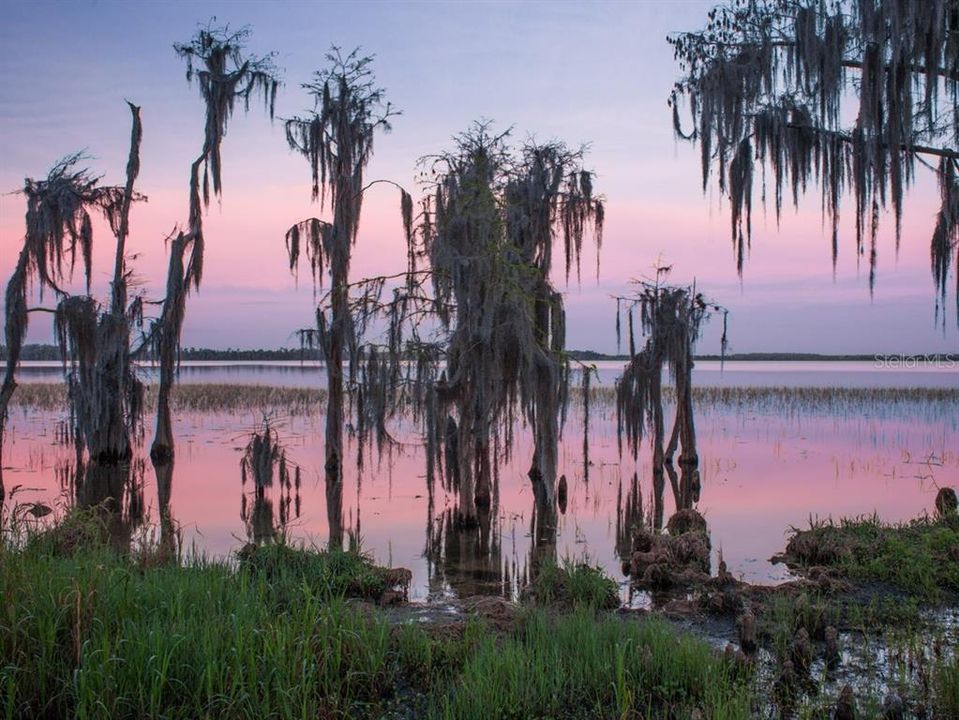 Lake Nona