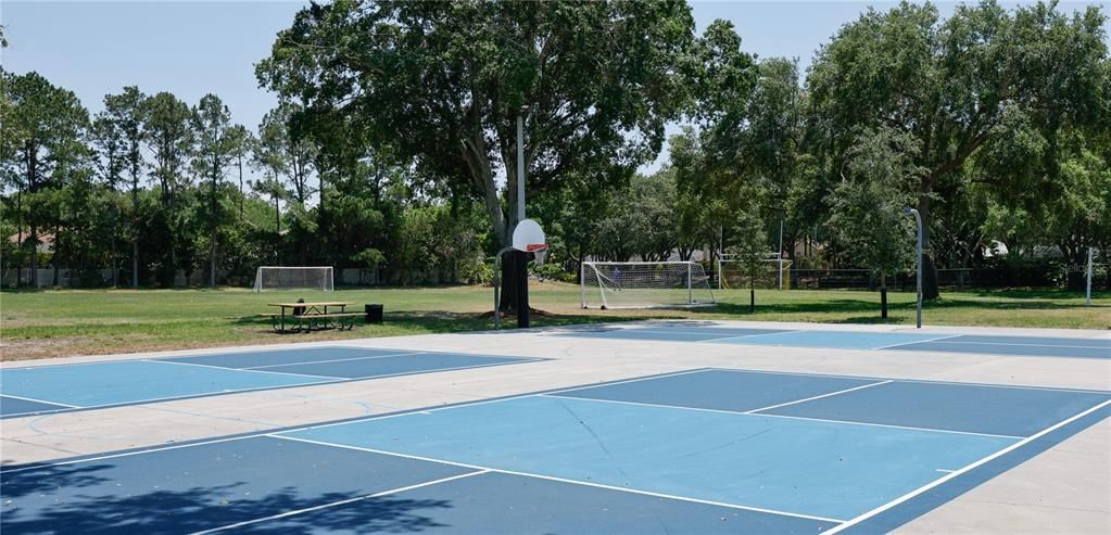 Lansbrook Commons - Basketball/Soccer