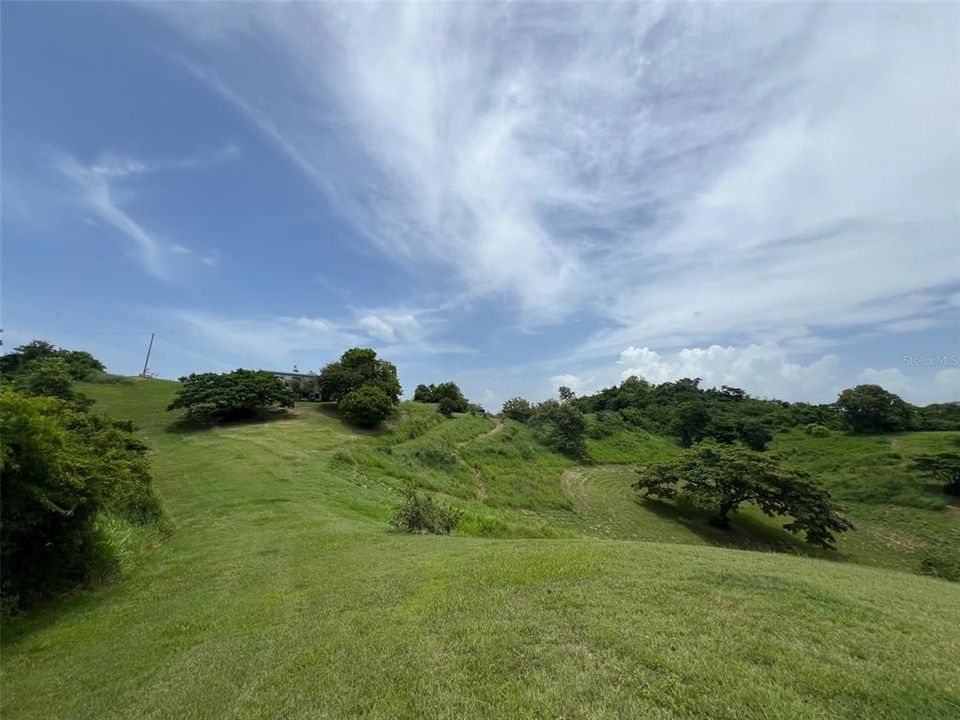 En Venta: $1,250,000 (117.00 acres)