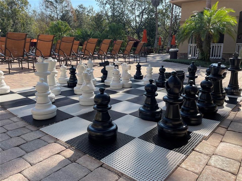 Lifesize chess!