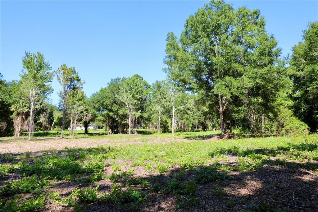 For Sale: $350,000 (3.11 acres)