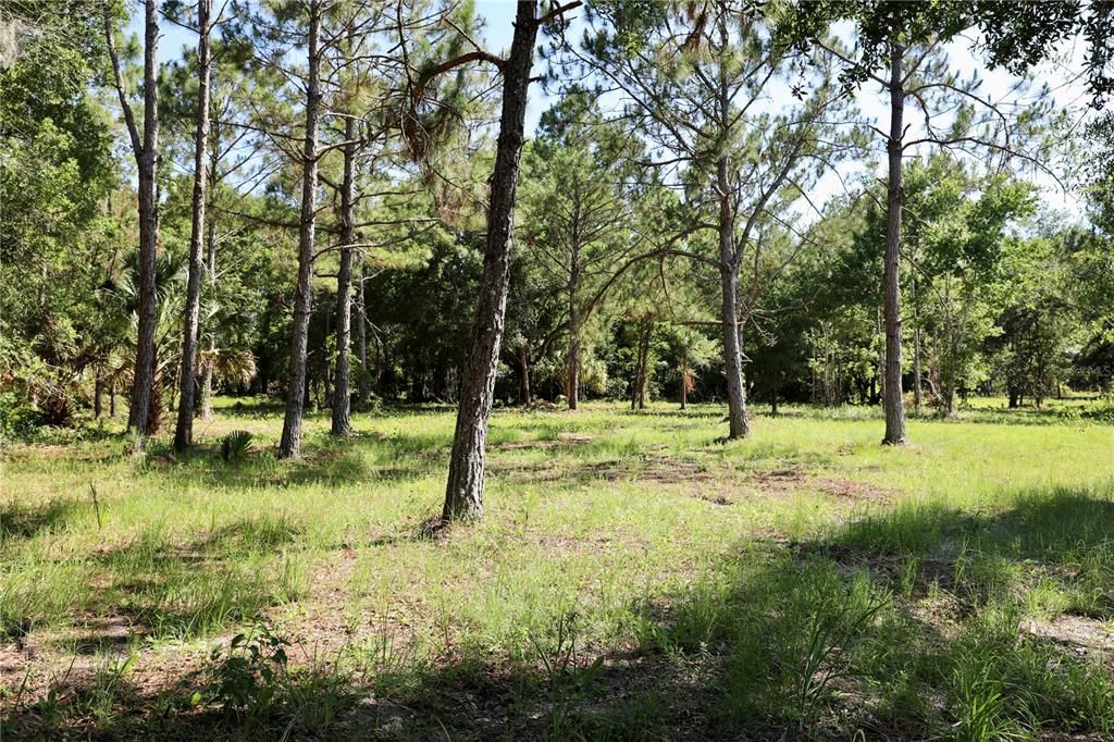 For Sale: $350,000 (3.11 acres)