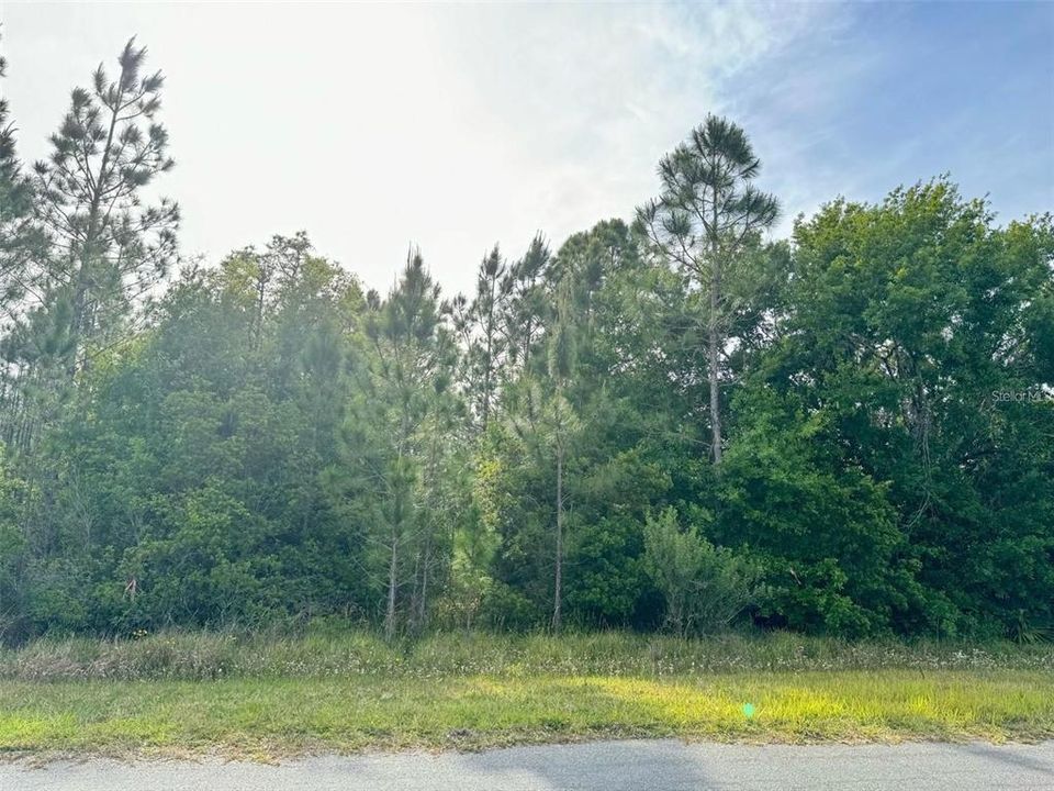 Active With Contract: $75,000 (1.03 acres)