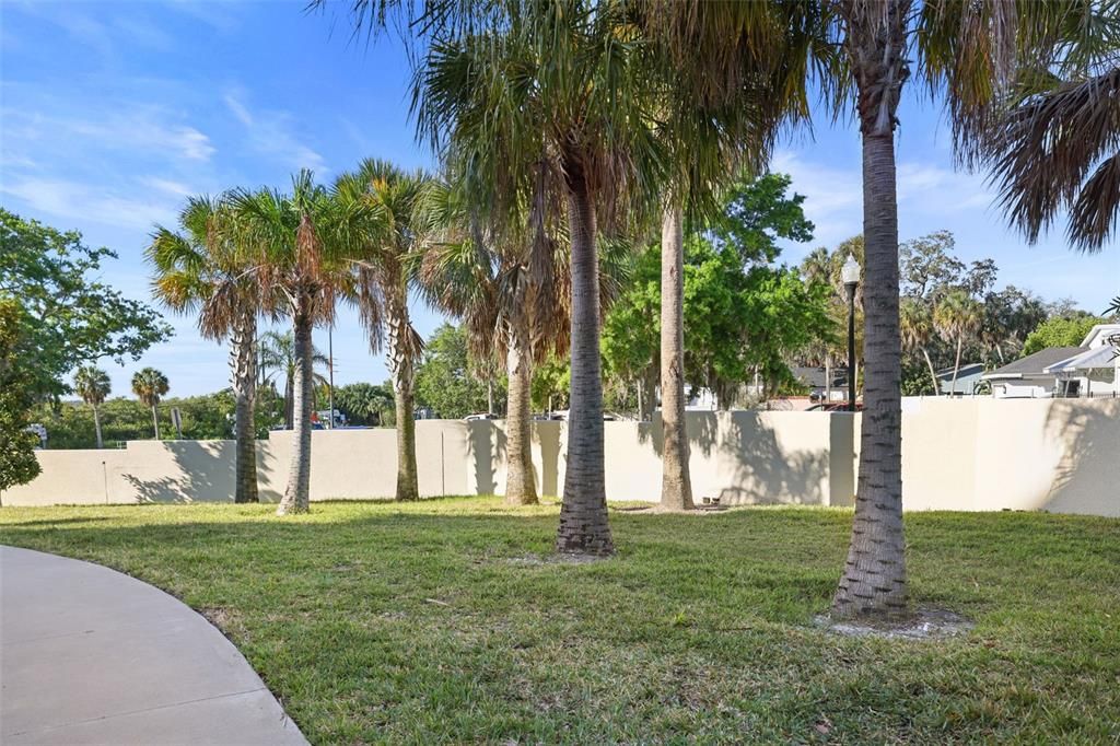 Enclosed Dog Run outside Pool area