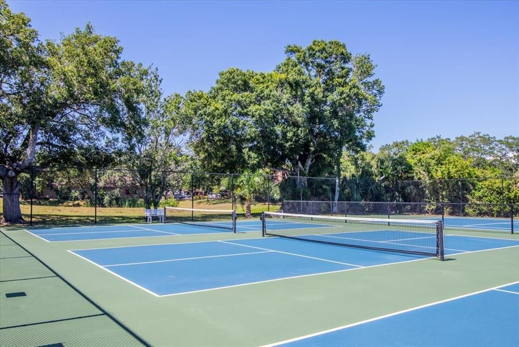 Pickleball Courts